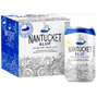 Nantucket Craft Blueberry 4-Pack